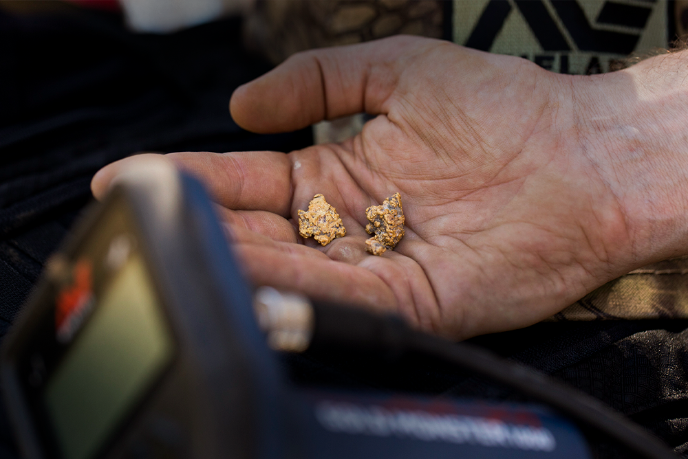Pepitas de oro: ¿sabes dónde encontrarlas?